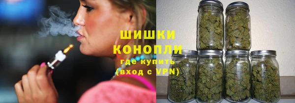 молекула духа Осташков